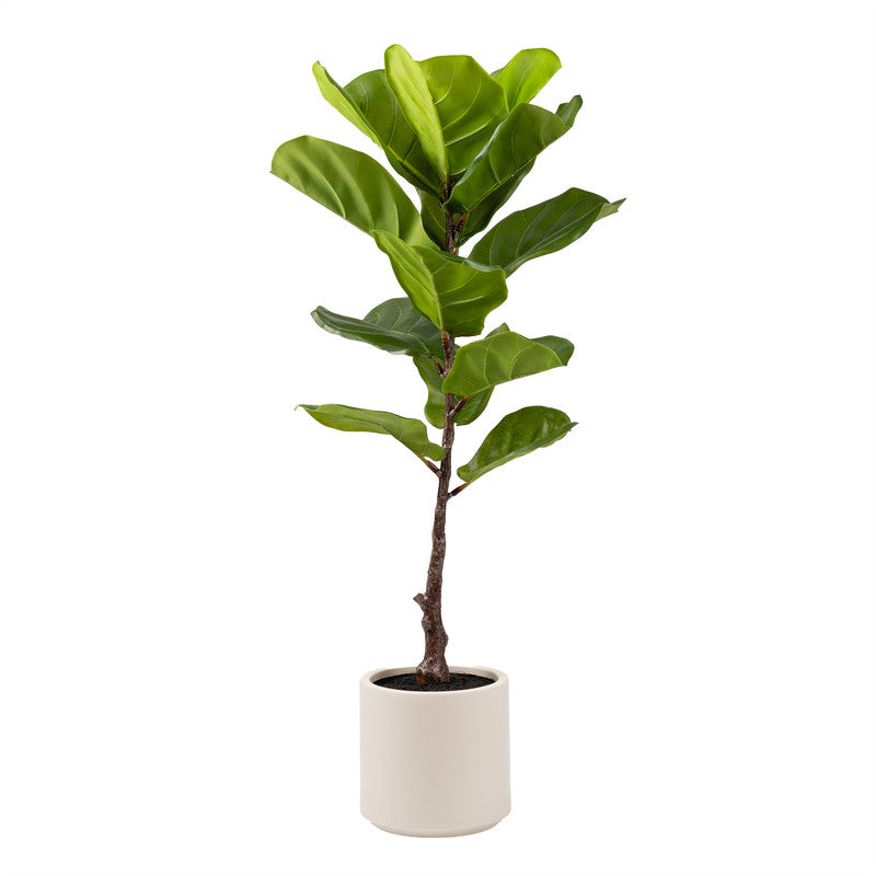 90cm Real Touch Fiddleleaf Fig Tree in Chunky White Pot